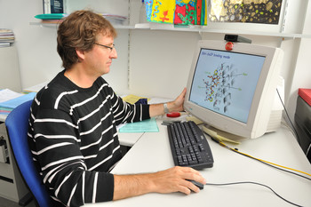 PSI-Forscher Michel Steinmetz rekonstruiert auf dem Computerbildschirm den atomaren Mechanismus wie Proteine an das Mikrotubli-Ende binden.