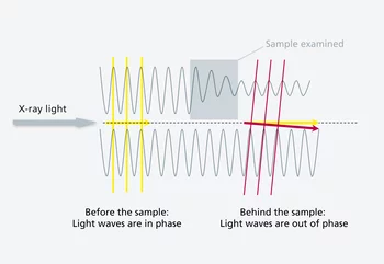 The principle of the phase-contrast method: Light that passes through matter is not only attenuated, it also travels more slowly. Two waves that start off in phase (meaning the peaks of both waves are adjacent) and then pass through different materials are subsequently phase-shifted. The difference in phase contains important information about the structure of the object being examined, which can be utilised using the phase-contrast method. (PSI/M Stampanoni and M. Fischer)