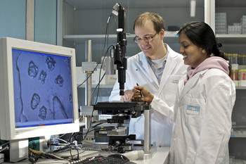 PSI researcher Jörg Standfuss and PhD student Ankita Singahl evaluating a nano-litre scale crystallization screening. The device shown uses ultraviolet light to help distinguish between crystals suitable for the experiment and those unsuitable. It has been developed in the group of Prof. Schertler. (Photo: PSI/M.Fischer)