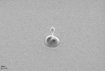 Der von einer diamantenen Zonenplatte fokussierte Röntgenlaserpuls erzeugt Krater in einer Metalloberfläche. Bei tausendfacher Abschwächung: Krater mit 500 Nanometer Durchmesser (REM-Aufnahme)