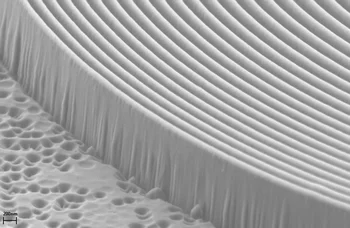 REM-Aufnahme der Zonenplatte. Die äussersten Ringe sind nur 100 Nanometer dick (und werden zum Mittelpunkt hin dicker). (REM-Aufnahme)