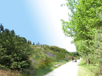 Das SwissFEL-Gebäude(links vom Weg im Bild) wird durch eine umweltgerechte Bepflanzung für Spaziergänger unauffällig bleiben (Computerbild)