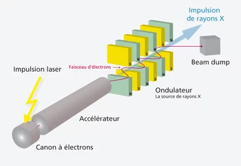 Croquis de principe de la machine SwissFEL avec les composants principaux. La ligne rouge indique la voie suivie par les électrons. (Non à l’échelle.)