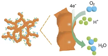 Schematic representation of the oxygen reduction reaction at the positive electrode of a low-temperature polymer electrolyte fuel cell. Each oxygen atom from the oxygen molecules fed into the cell captures two electrons, which is followed by the reaction with hydrogen nuclei to form water. Copyright Wiley-VCH Verlag GmbH & Co. KGaA. Reproduced with permission.