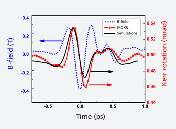A pulse from a terahertz laser (blue) controls the magnetisation of a material: the magnetisation (red - determined via the magneto-optic Kerr effect MOKE)
 follows the laser pulse’s magnetic field with a slight delay. The black curve shows the prediction of a computer simulation.