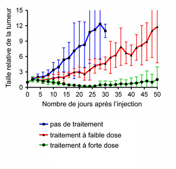 La liaison lutécium-folates développée au PSI freine la croissance des tumeurs chez les souris. Modification de la taille de la tumeur : en bleu : pas de traitement ; en rouge : traitement à faible dose ; en vert : traitement à forte dose.