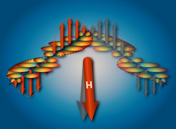 Suivant la direction du champ magnétique (H), l’onde de densité de spin induite (flèche rouge ou flèche grise) peut se déplacer dans différentes directions. La supraconductivité, qui apparaît en même temps, est modulée par l’onde de densité de spin. (Illustration : Institut Paul Scherrer/Simon Gerber)