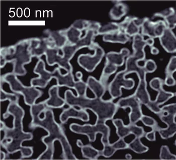 A cross-section of the tomograph of the glass sample studied. The glass contains air pores coated on the inside with tantalum oxide Ta2O5. The glass is displayed in grey, the air black and the tantalum oxide white.