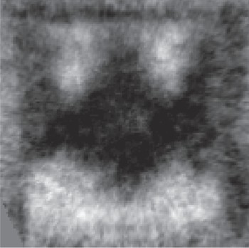 Researchers at PSI spotted a curious black-and-white magnetic substructure on a five-by-five micrometre square – and were reminded of the stylised Batman logo. The black areas reveal where the magnetisation is pointing downwards, i.e. into the picture; the white ones where it is pointing upwards.