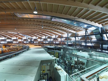 Eine geschwungene hölzerne Decke überspannt die gesamte Experimentierhalle der SLS. (Foto: Scanderbeg Sauer Photography)