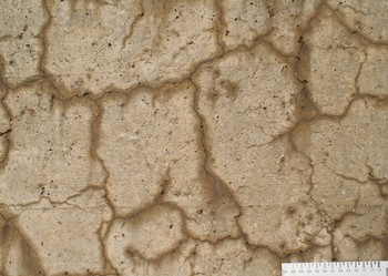 The so-called concrete disease: close-up of cracks in concrete caused by the alkali-aggregate reaction (AAR). (Photo: Empa/Andreas Leemann)