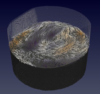 Swirling internal magnetic structure. A section of the investigated sample, which is a gadolinium-cobalt pillar of diameter 0.005 millimetres (5 micrometres), is shown. With magnetic tomography, scientists determined its internal magnetic structure. Here, the magnetisation is represented by arrows for a horizontal slice within the pillar. In addition, the colour of the arrows indicate whether they are pointing upwards (orange) or downwards (purple). (Graphics: Paul Scherrer Institute/Claire Donnelly)
