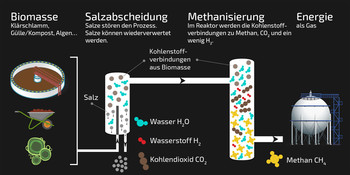 Wie aus nassen Kaffeerückständen Methan entsteht: schematische Darstellung des Prozesses. (Grafik: Paul Scherrer Institut/Mahir Dzambegovic)