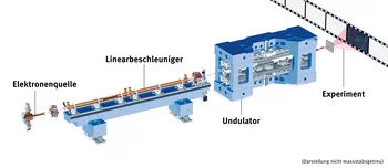 Skizze des SwissFEL. In der Elektronenquelle werden Elektronen freigesetzt, die dann im Linearbeschleuniger auf eine hohe Geschwindigkeit gebracht werden. In den Magnetanlagen der Undulatoren, werden diese Elektronen auf eine Wellenbahn geschickt und erzeugen dabei das Röntgenlicht, das für Experimente genutzt wird.