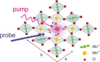 A time-dependent order parameter for ultrafast photoinduced phase transitions.