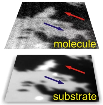 Investigating magneto-chemical interactions at molecule-substrate interfaces by X-ray photoemission electron microscopy.