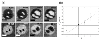 (a) Scanning transmission x-ray microscopy images of magnetic skyrmions stabilized in a nanostructured Pt/Co/Ir disc; (b) Skyrmion-dependent contribution to the Hall resistivity