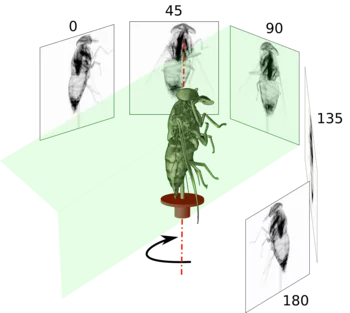 Figure 11: Tomography data acquisition