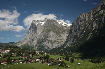 grindelwald.jpg