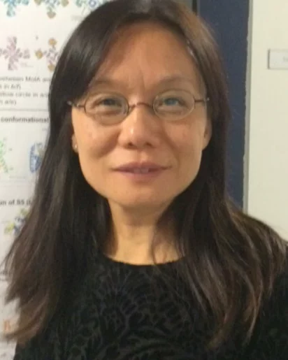 Photo of Xiaodan Li