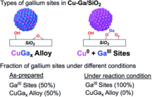 lam_2020_chemsci.gif