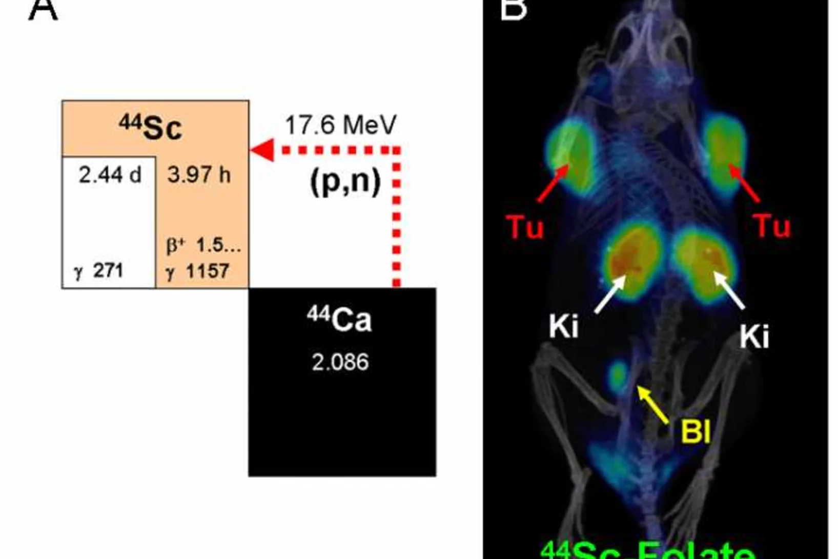 Production route of 44Sc