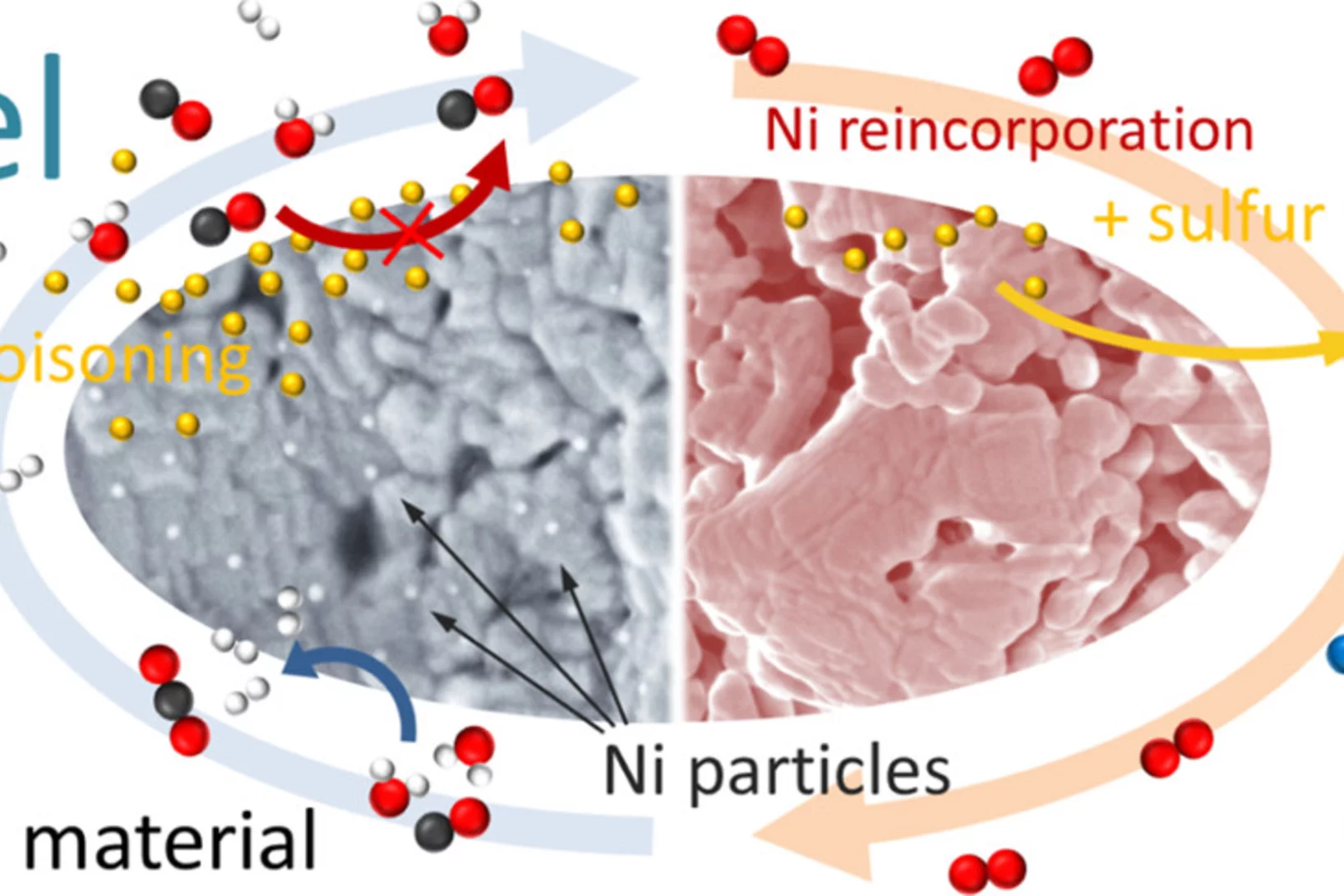 steiger_chemmater_ga.jpg