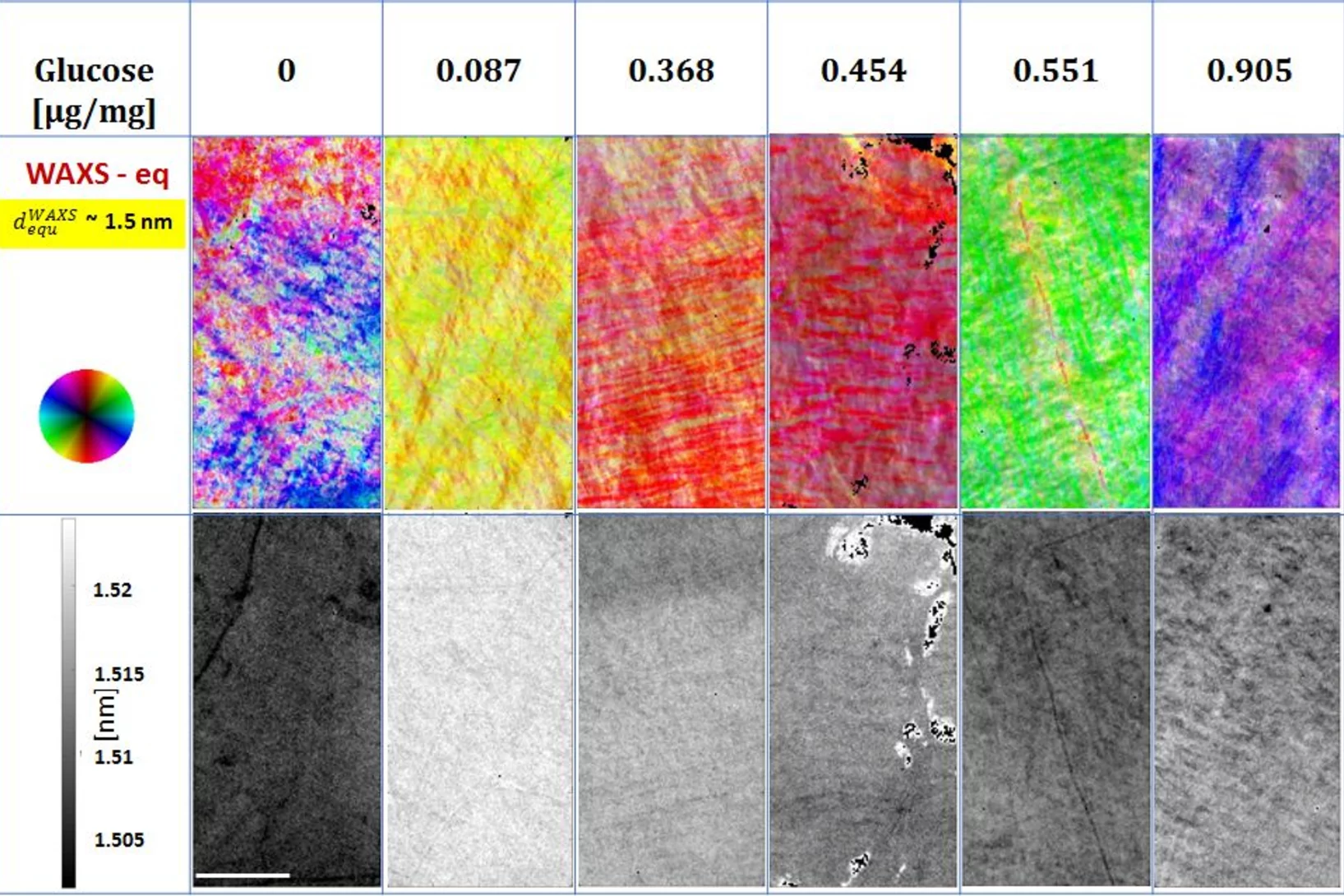 WAXS and radiography images of six samples at different glucose concentration