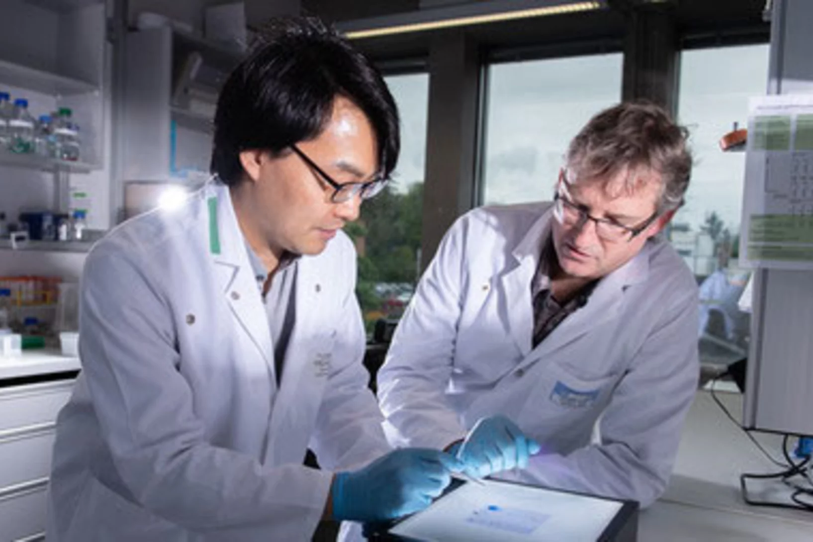 Teaser Choi Steinmetz