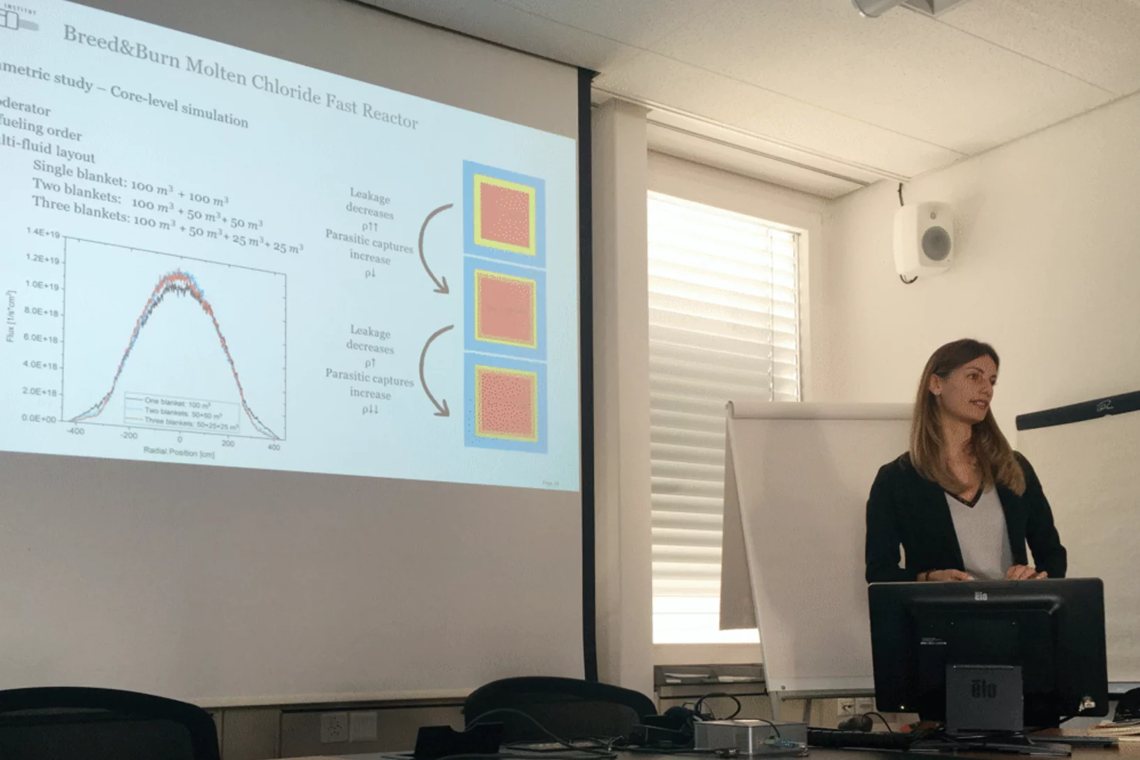 Valeria Raffuzzi / MS thesis defense