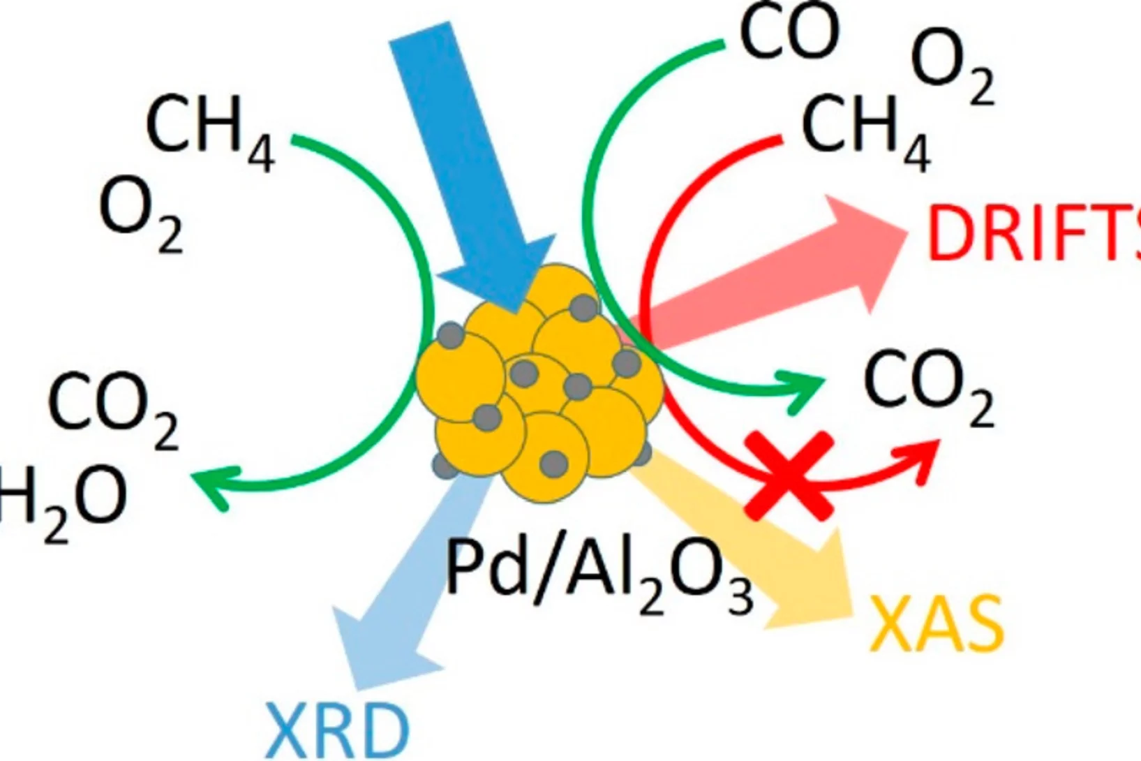 marchionni_acscatal_ga