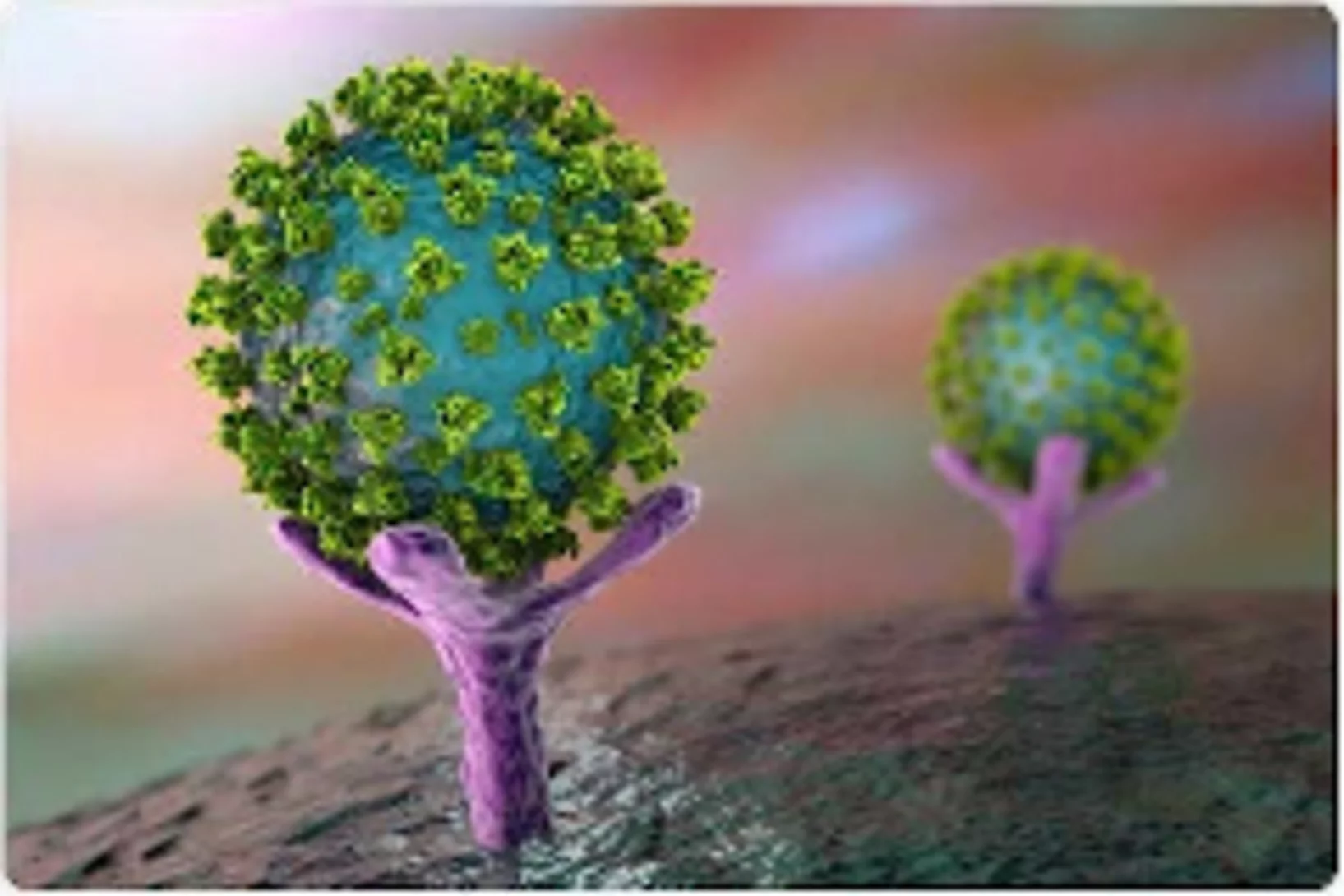 Size of the corona virus: 60 - 140 nm