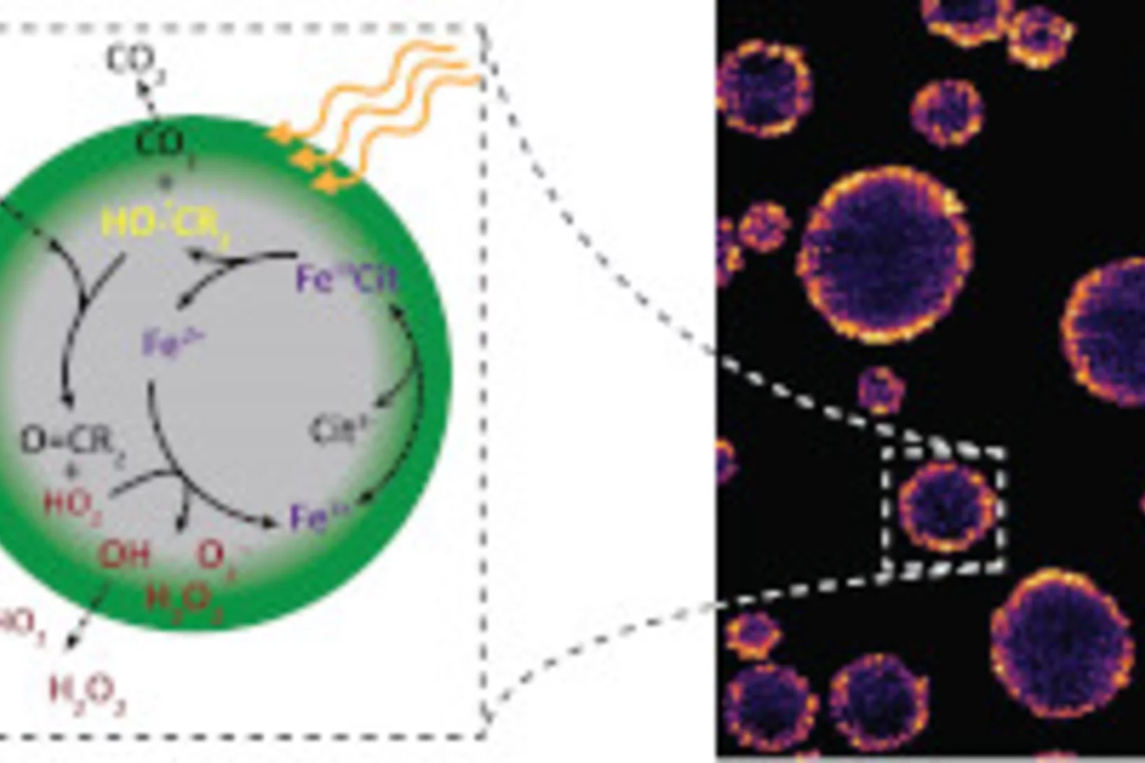 X-ray images reveal near-surface oxidation and radicals in the interior of submicrometer particles.
