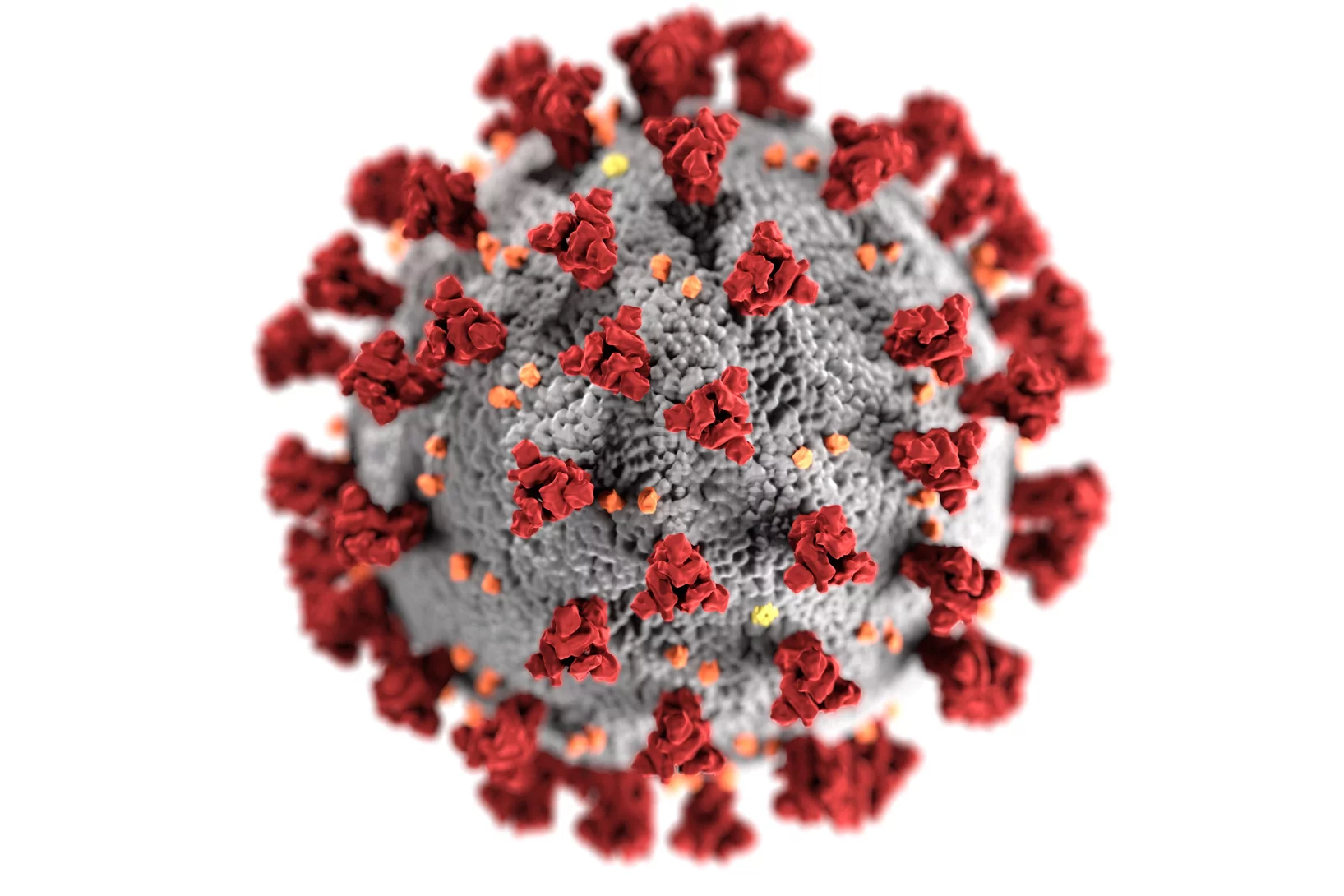 Das Pandemievirus Covid-19 (Foto: Alissa Eckert, MS, Dan Higgins, MAMS)