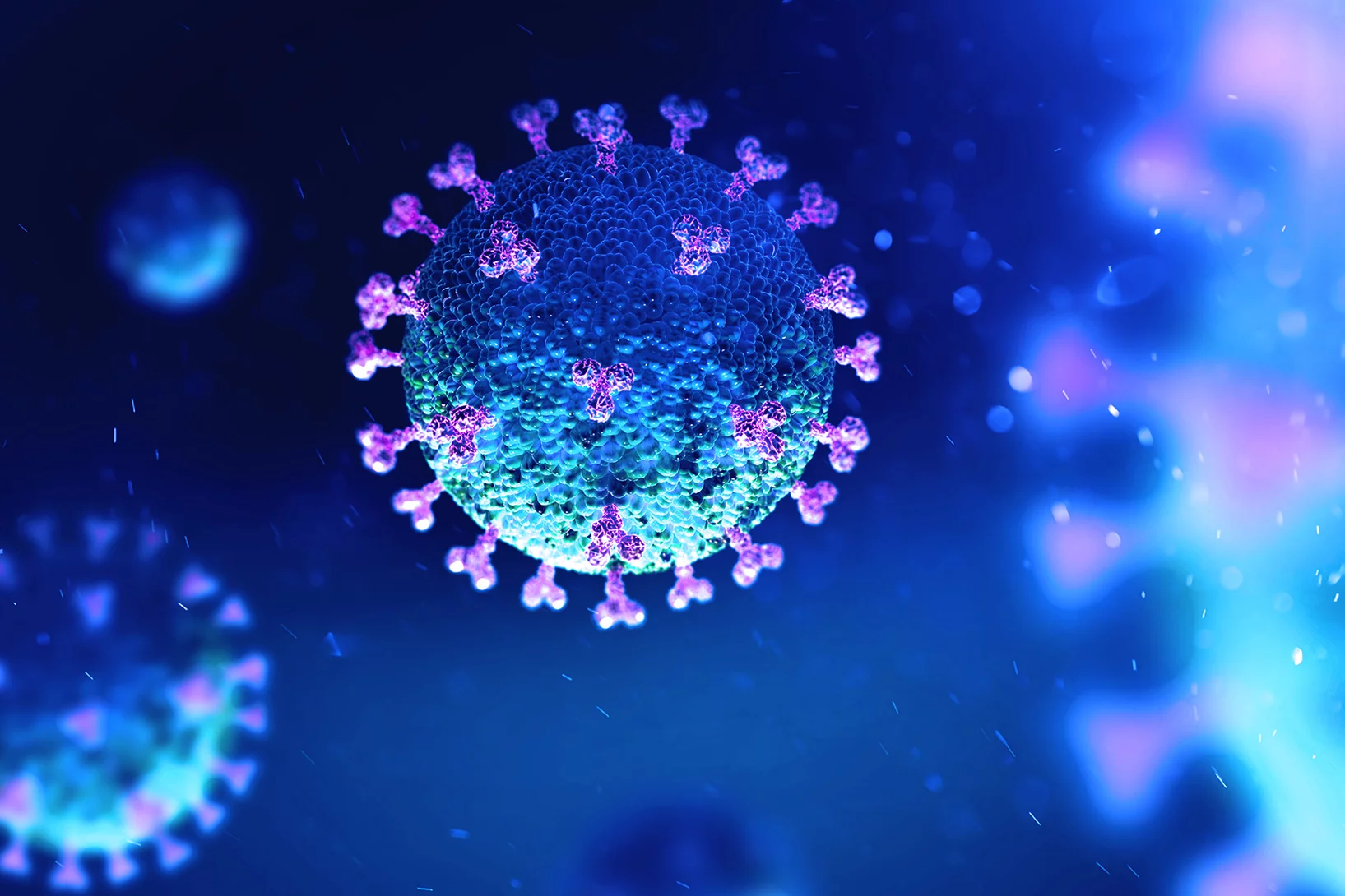  (Foto:Shutterstock.com)