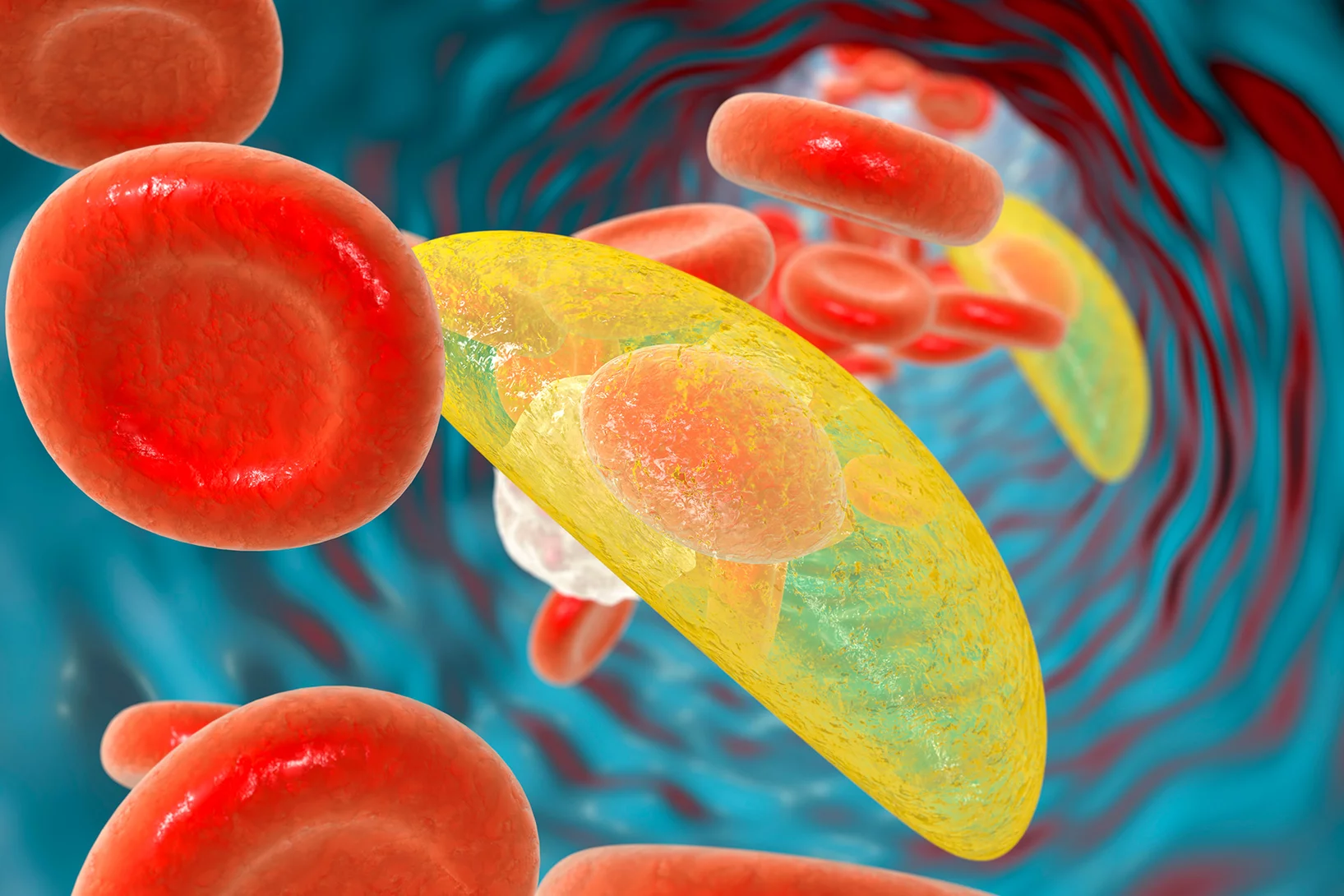 Foto:Shutterstock.com/1051483496