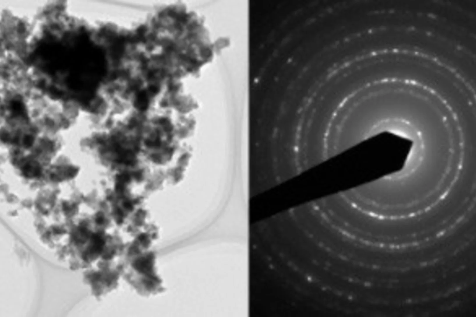 Electron Microscopy