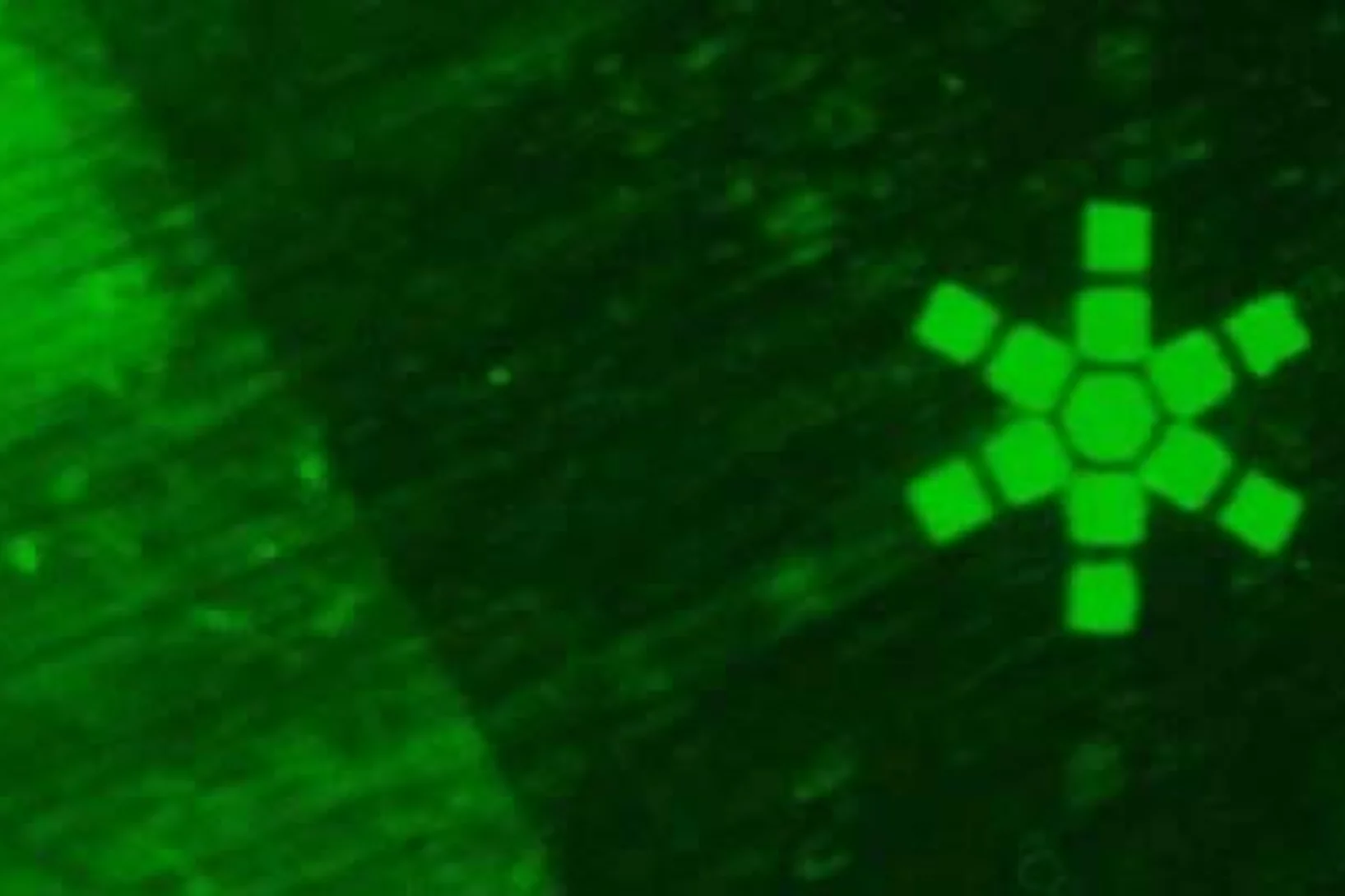 Grafted structure functionalized with Alexa-SAv