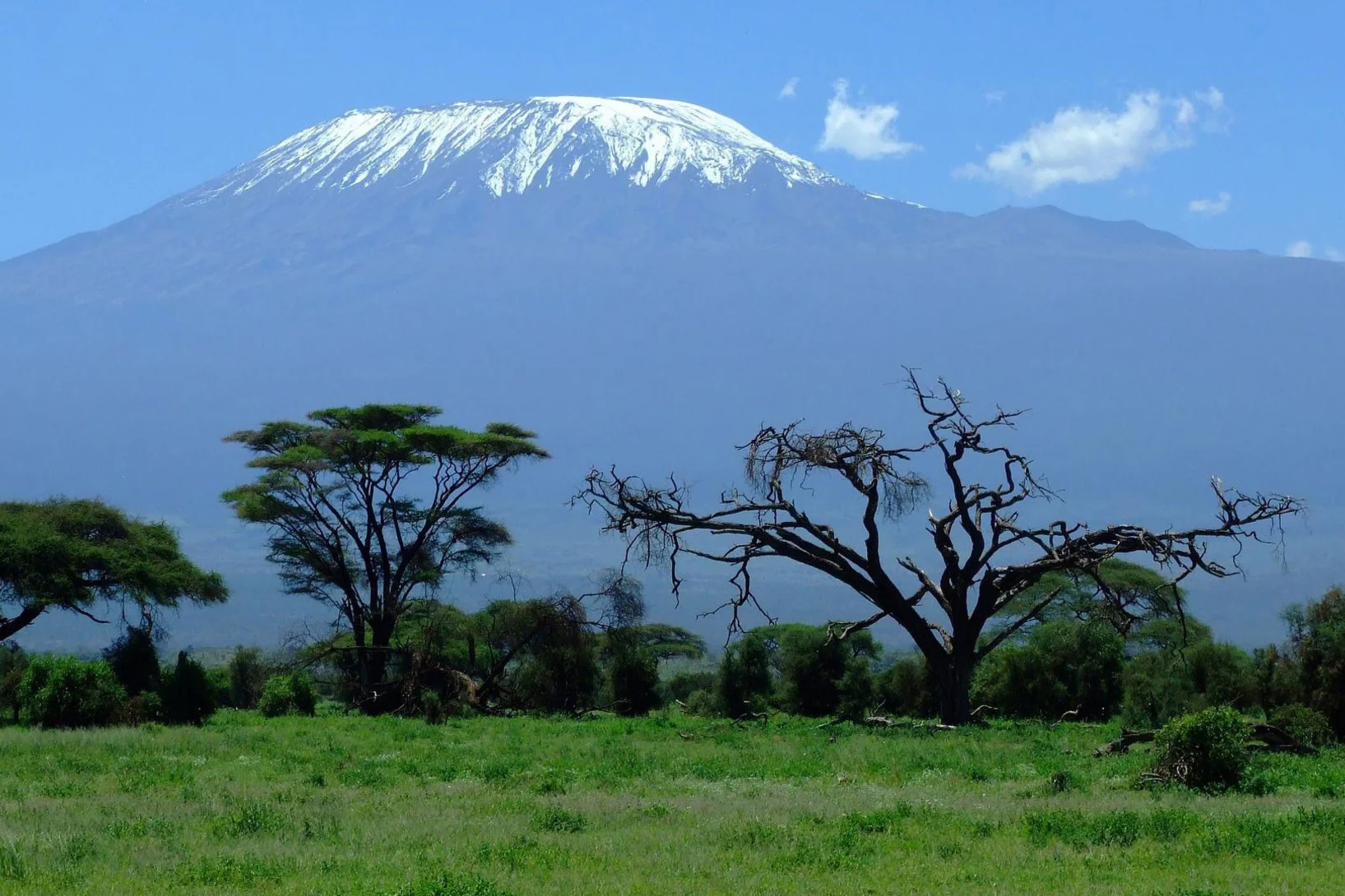 Kilimandjaro