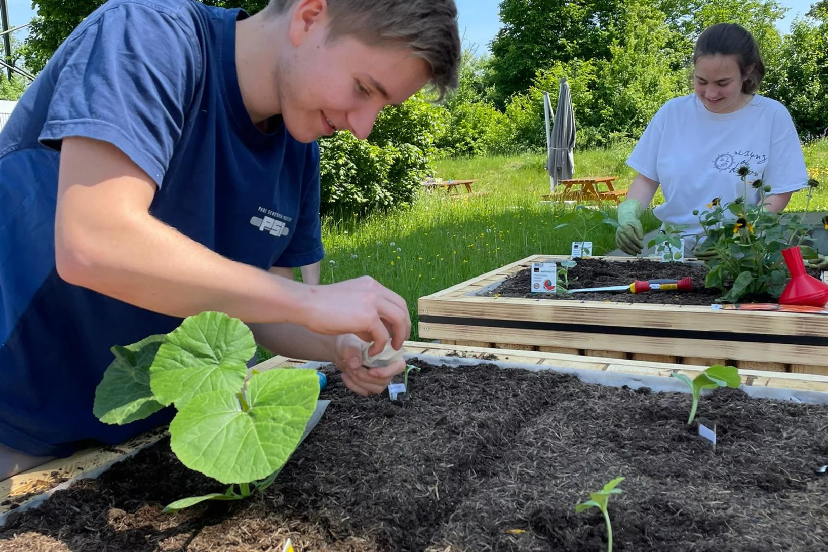 Der grüne Daumen der AU