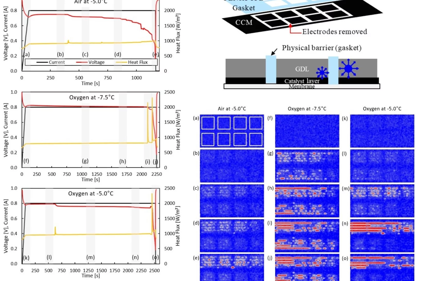 Prevention of freezing propagation in fuel cells using segmentation