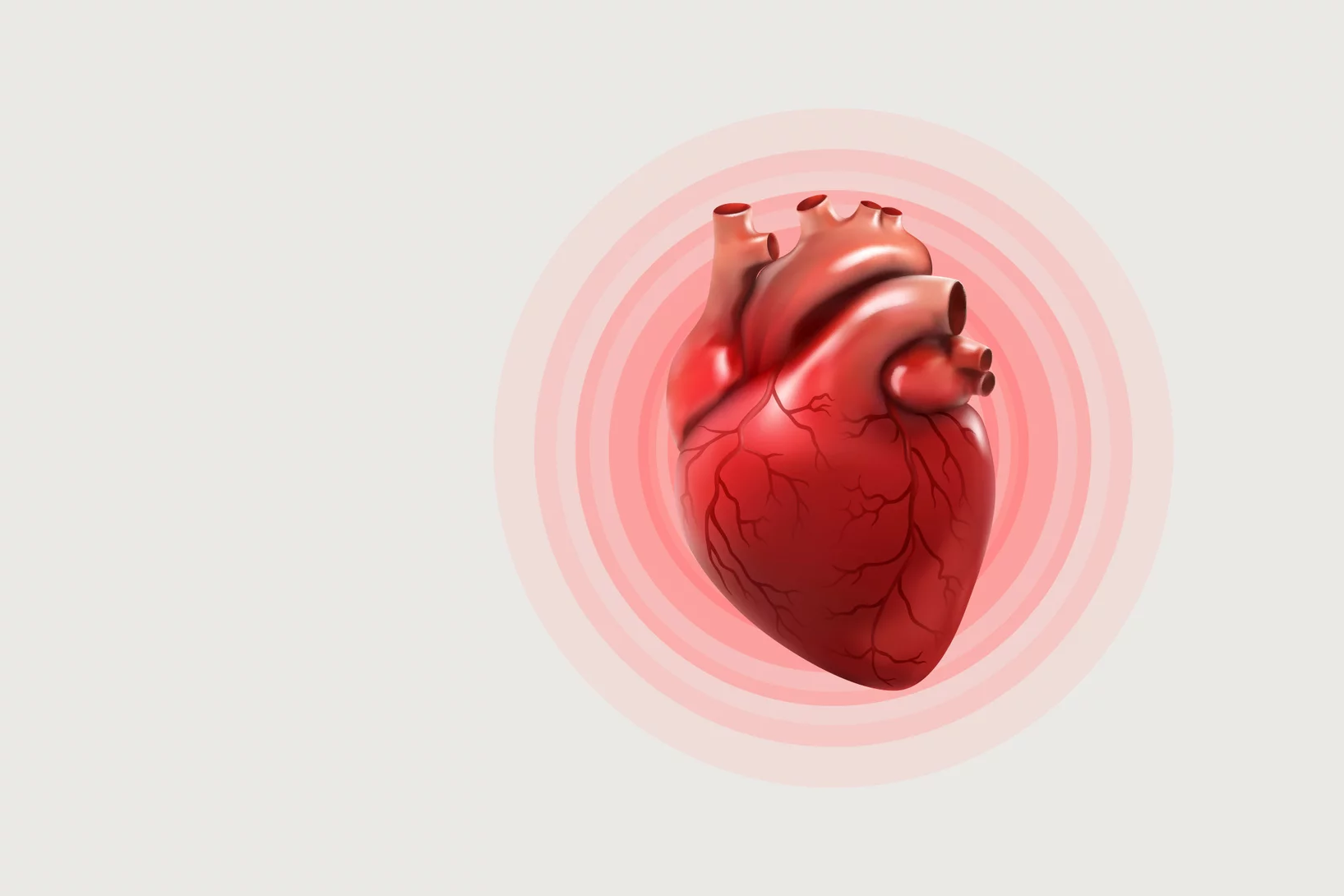 heart