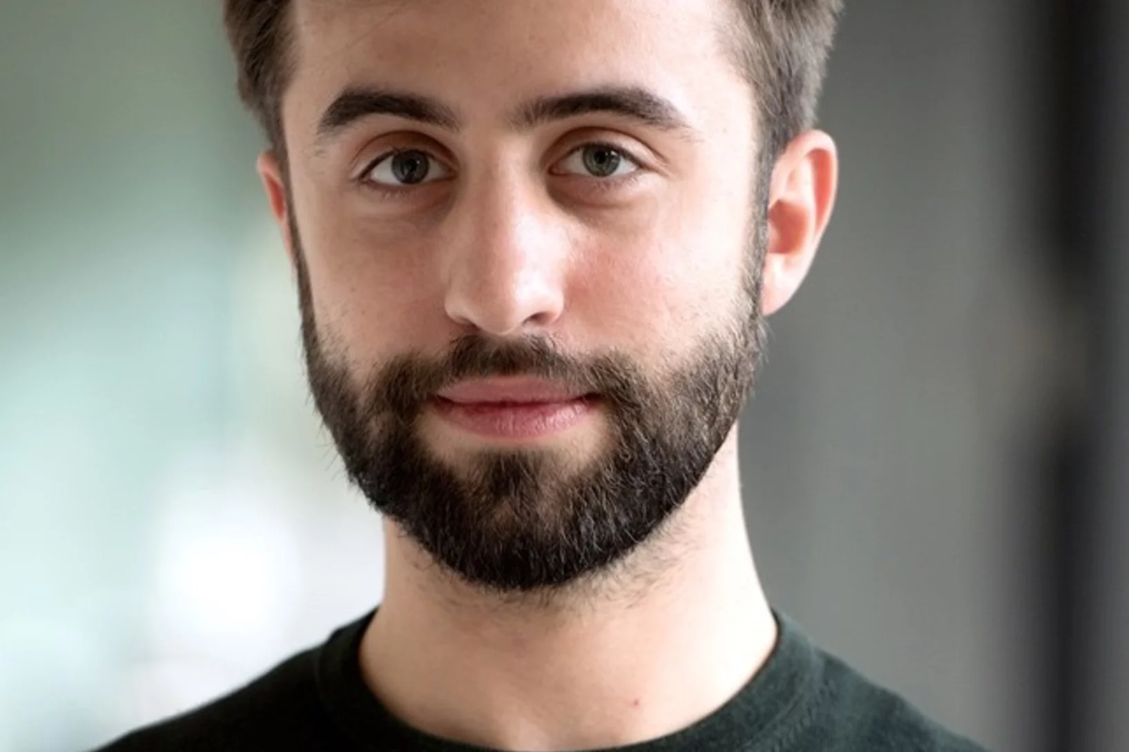 F. Dizdarevic