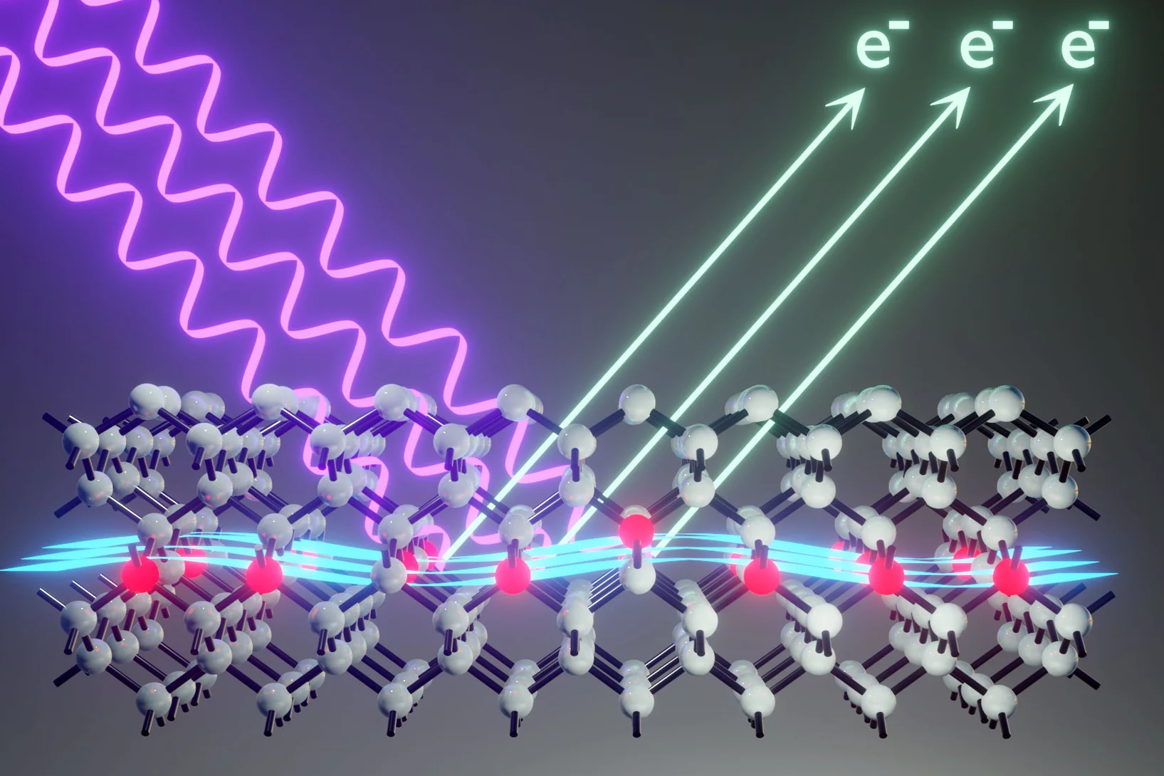 (Image: Schofield / Constantinou)