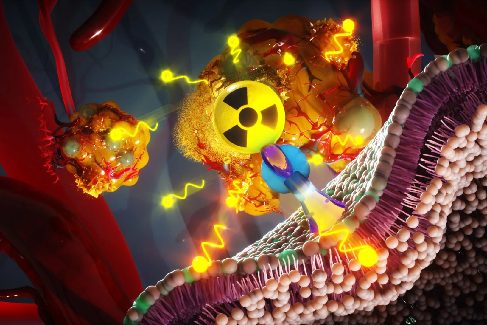 The radiopharmaceutical consists of a radioactive molecule – in this case terbium-161 linked to a ligand. 
