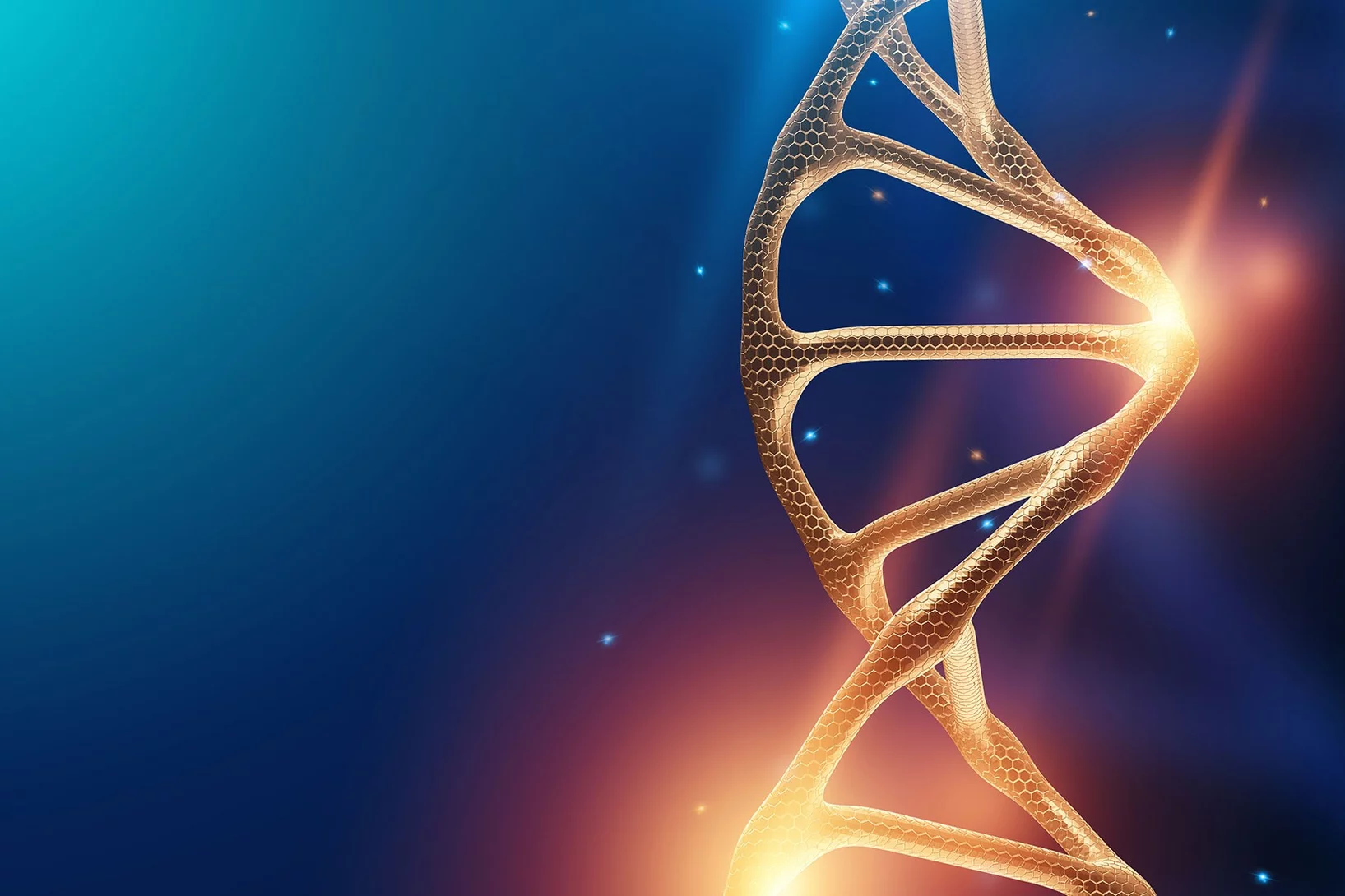 Erbschäden mit Sonnenlicht reparieren  