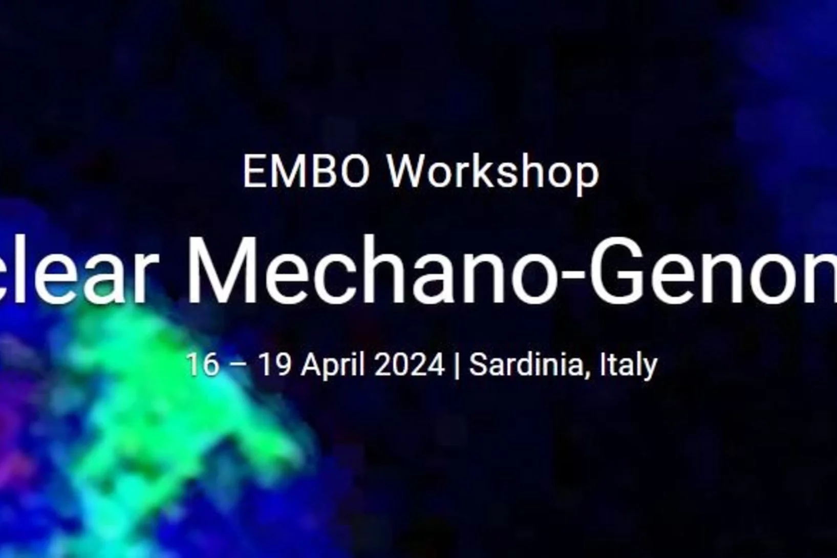 EMBO_2024