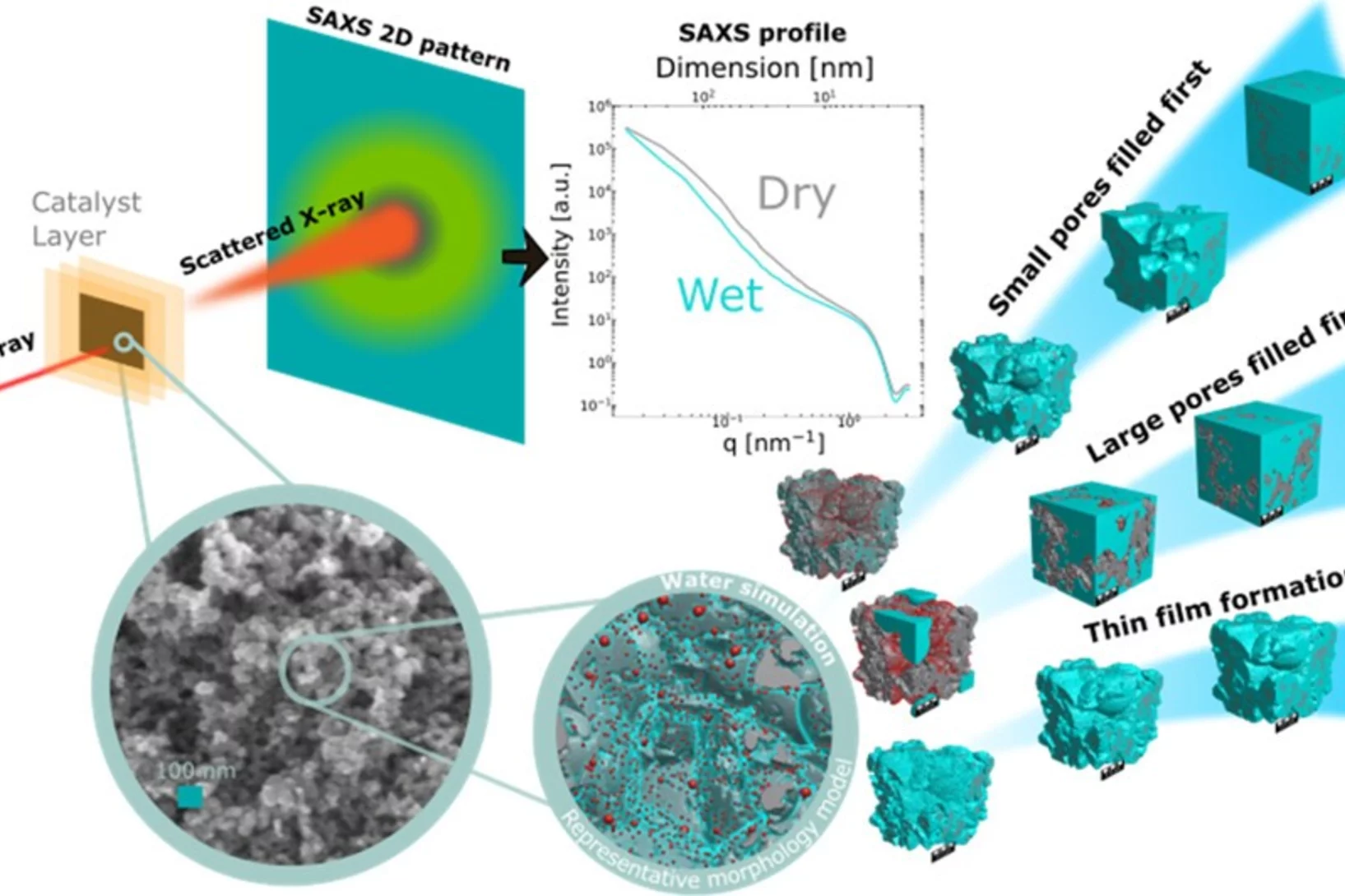 Scheme of the combined SAXS measurement and simulation approach