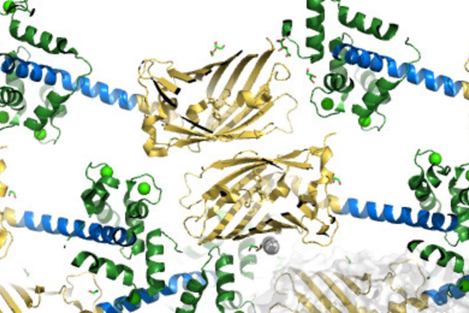 Biomolecular Nanoengineering