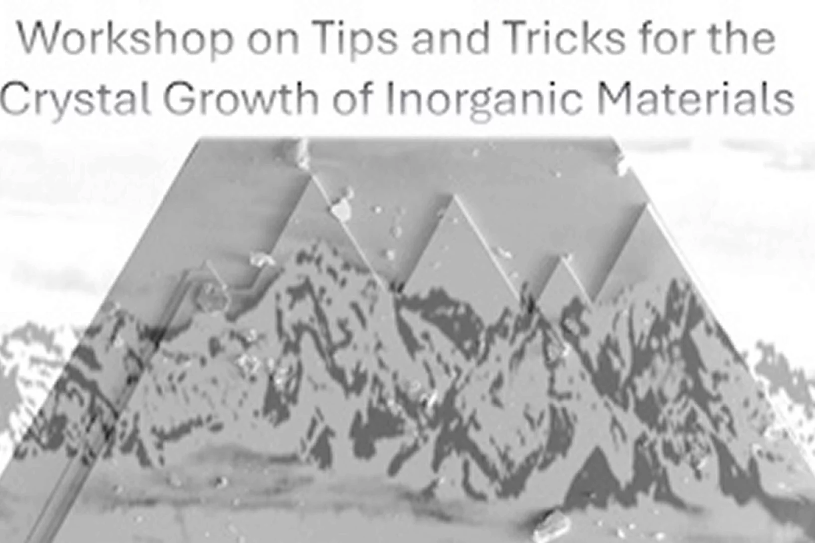 Workshop crystal growth 2024